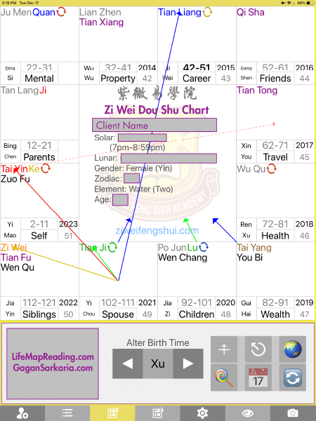 Zi Wei Dou SHu Sample Chart