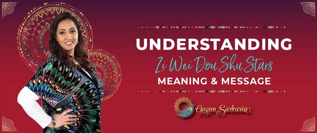 Meaning of Zi Wei Dou Shu Stars