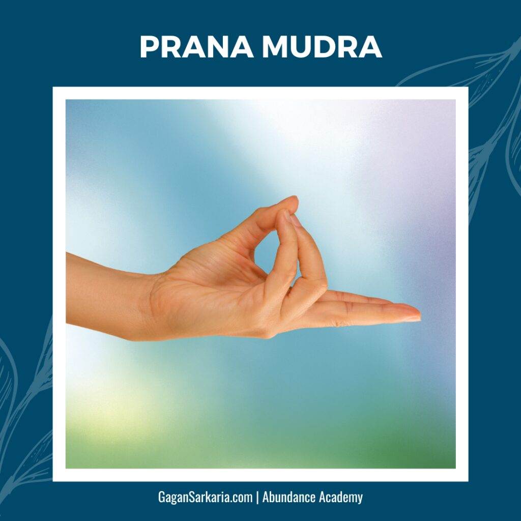 prana or life force energy mudra