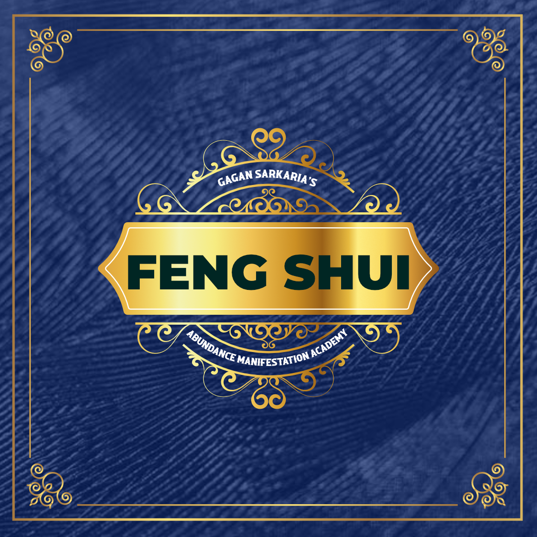 Period 9 Wealth and Abundance Masterclass Feng Shui Consultation
